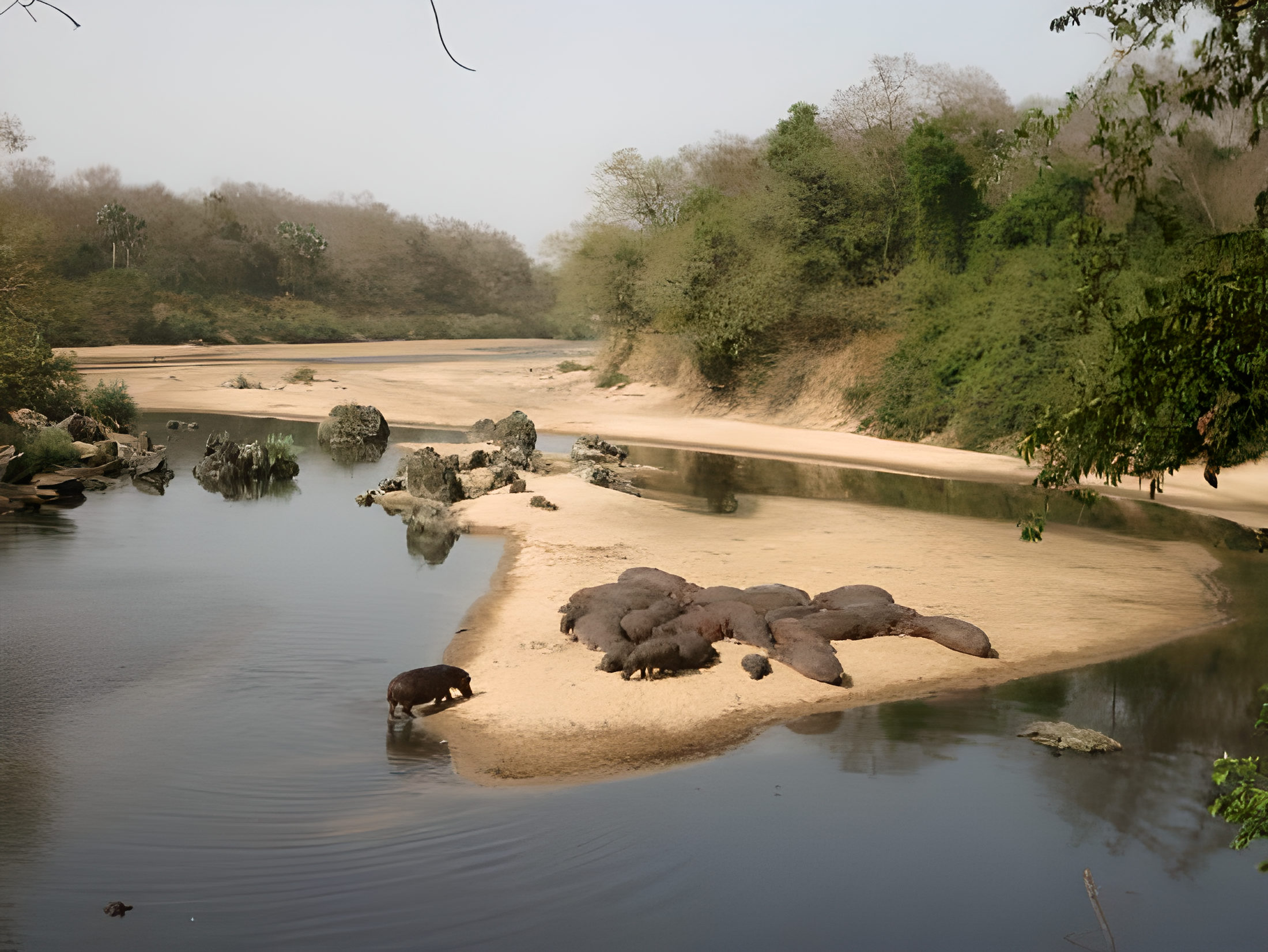 Parc National de Bénoué - Miniature 3