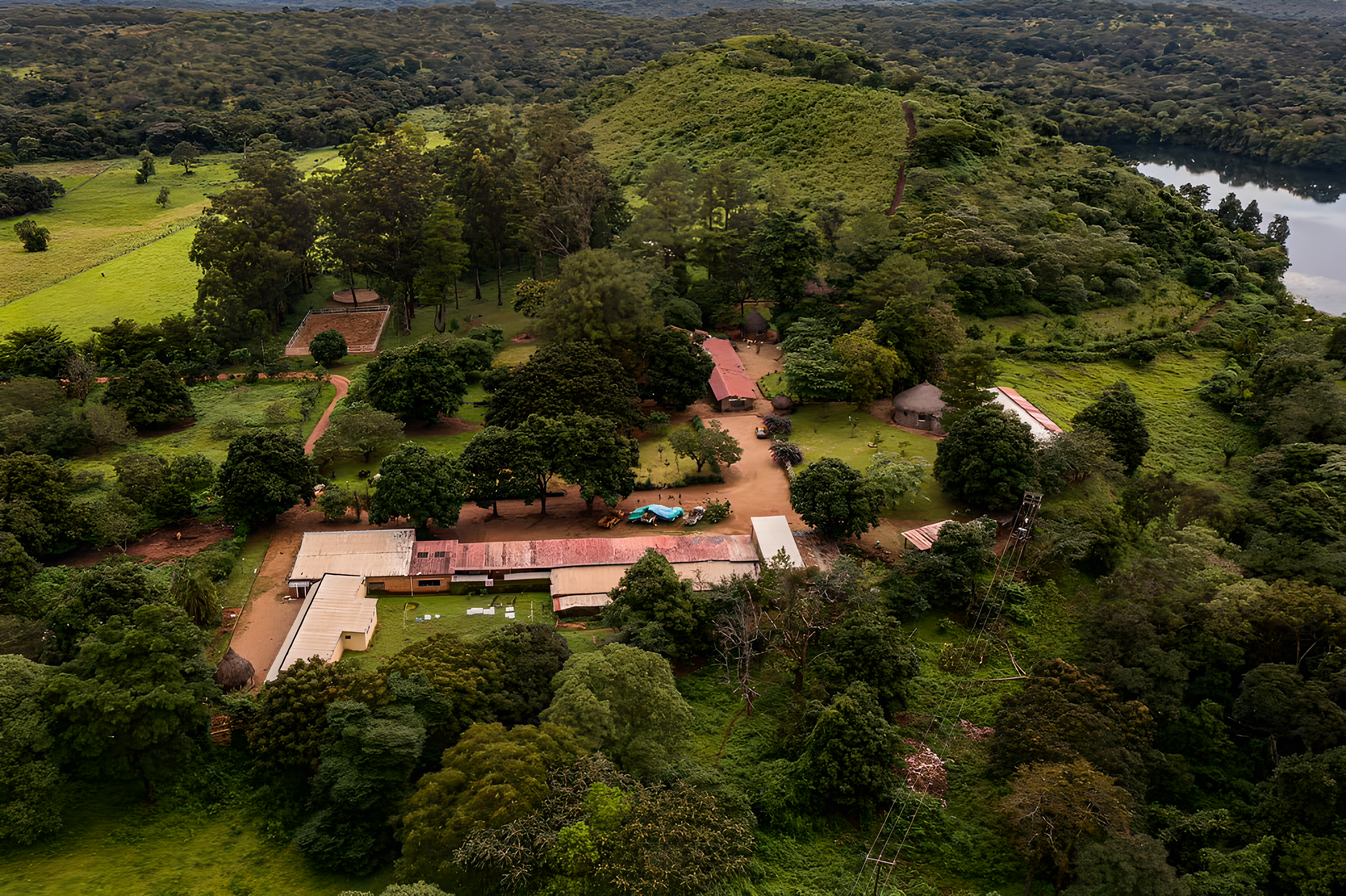 Le Ranch de Ngaoundaba - Miniature 2