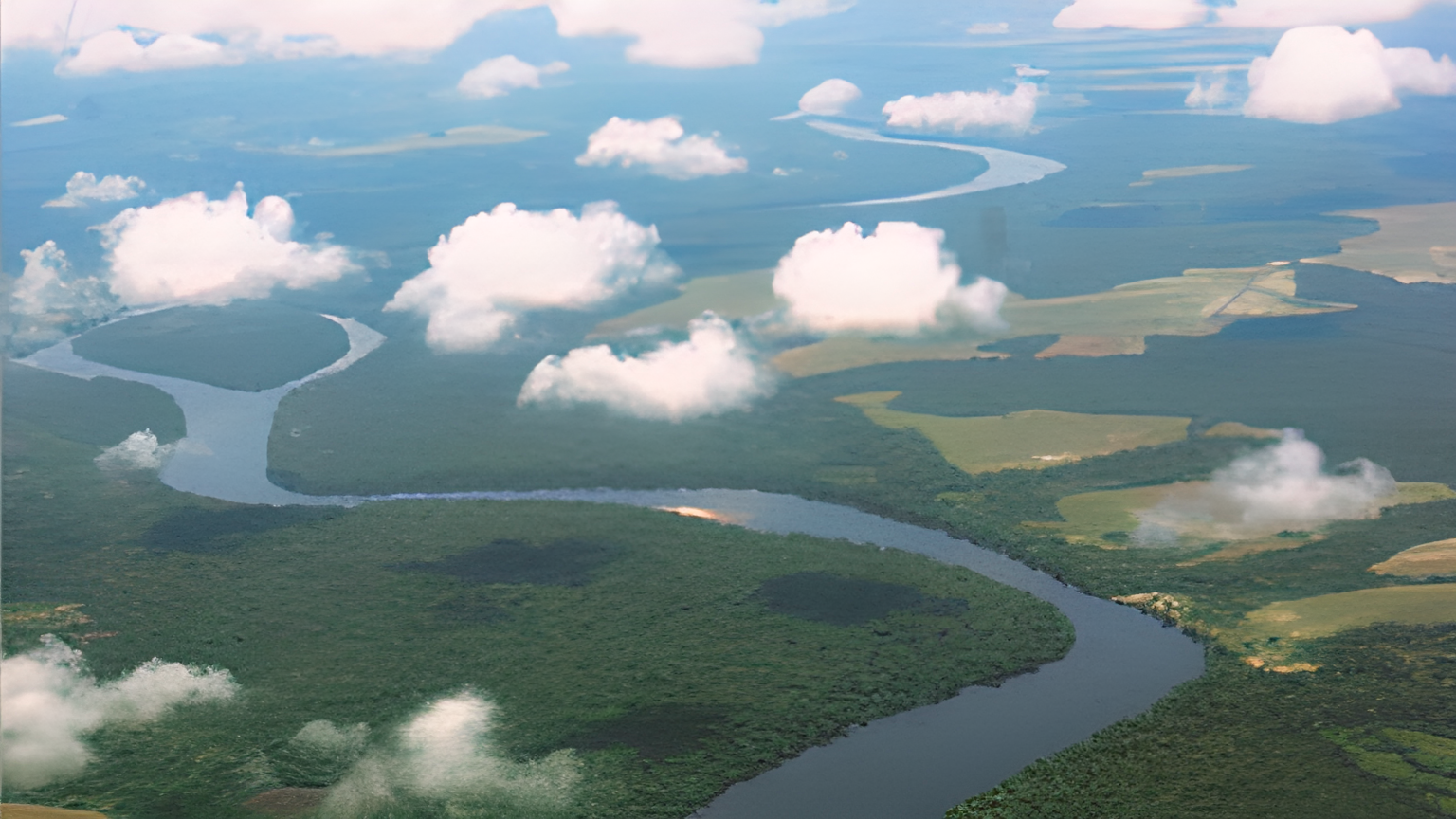 Réserve du Dja - Image 1